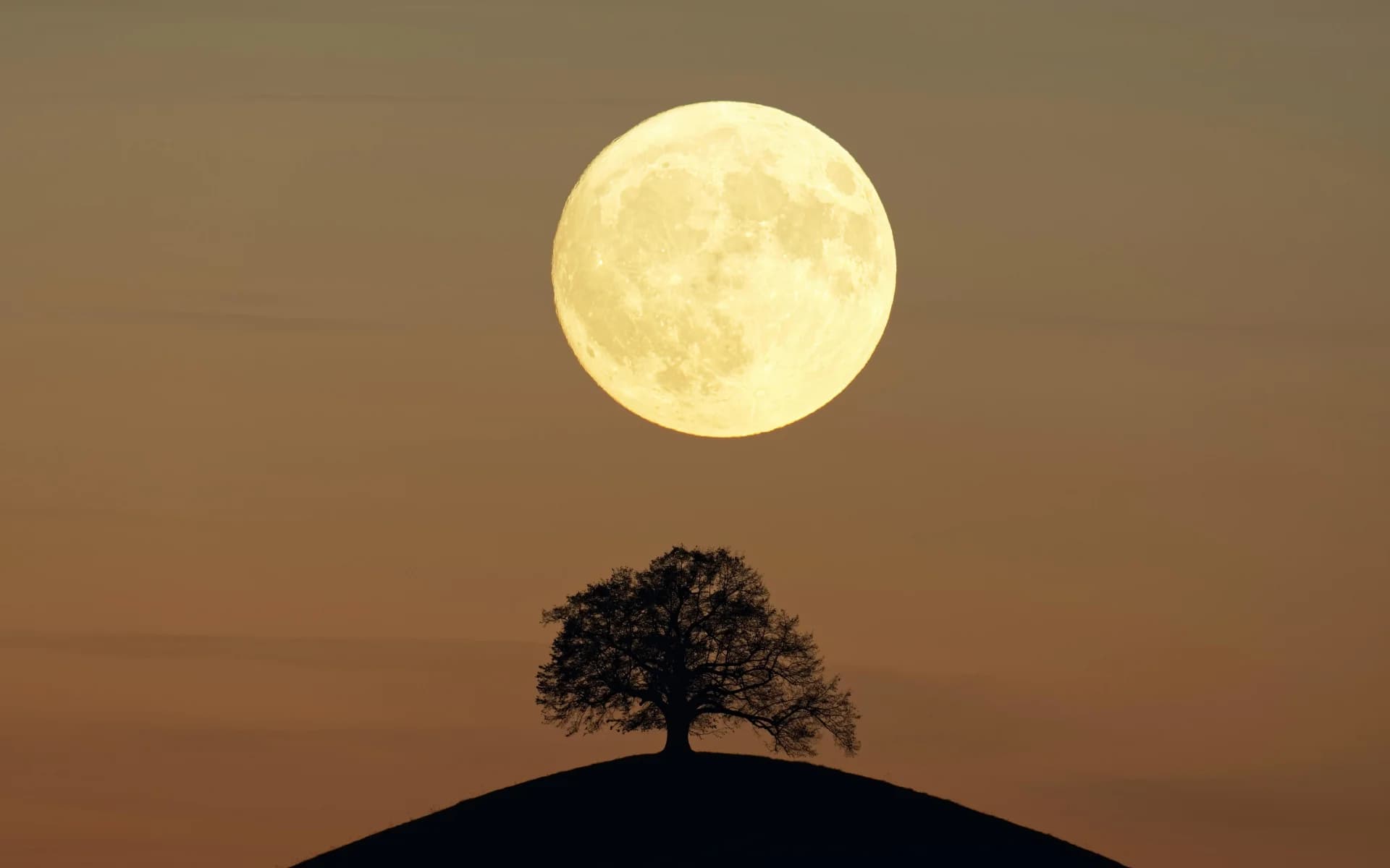 Future Tech Summit 2026